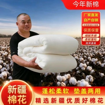 新疆特级长绒棉