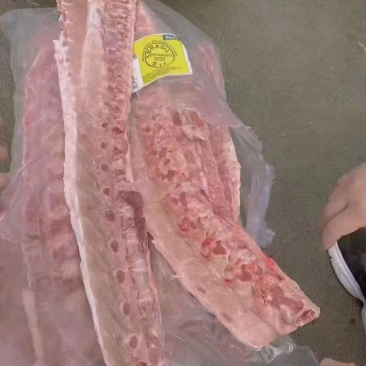 巴西3237龙骨