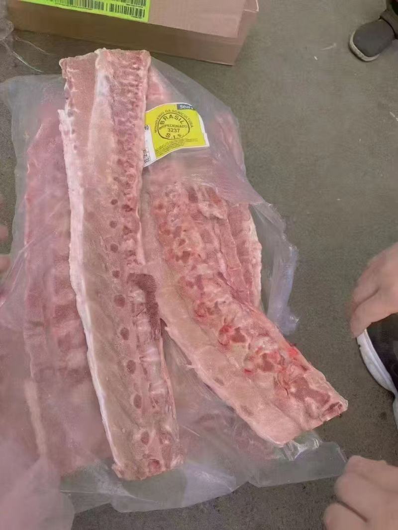 巴西3237龙骨