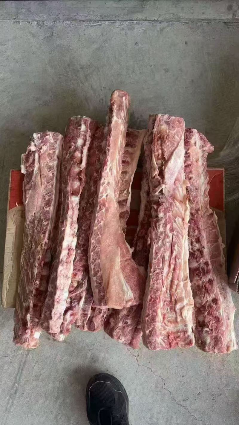 巴西3237龙骨