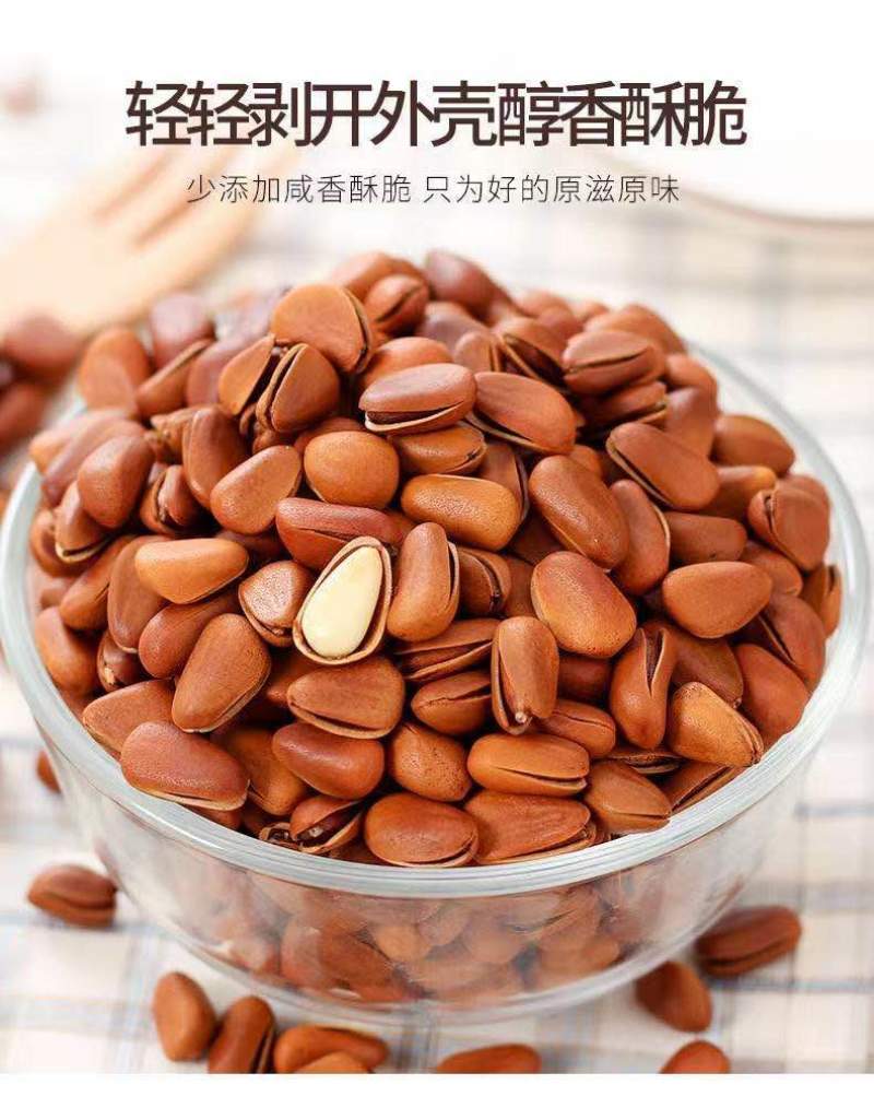 价格比去年低，来自东北黑土地的红松子，今日报价15/斤