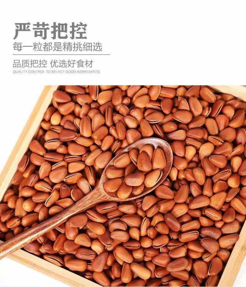 价格比去年低，来自东北黑土地的红松子，今日报价15/斤