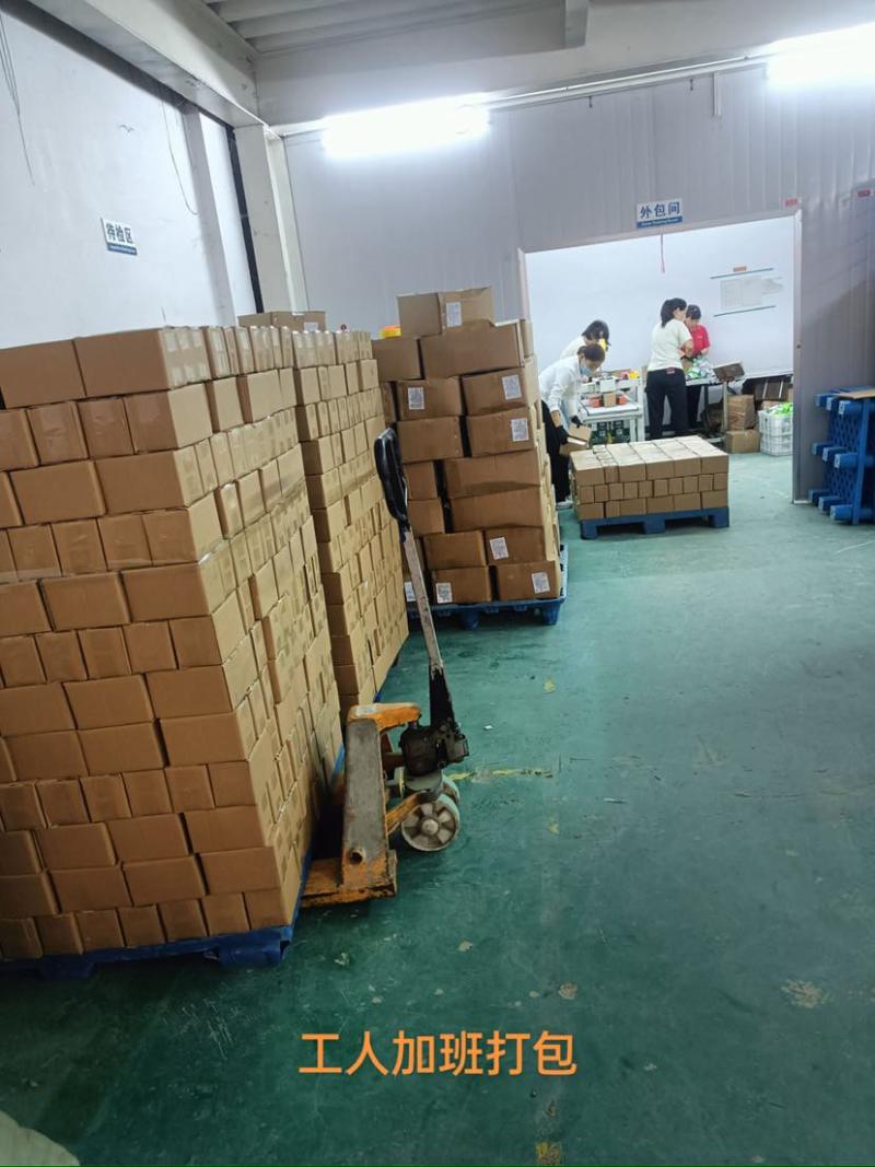 价格比去年低，来自东北黑土地的红松子，今日报价15/斤