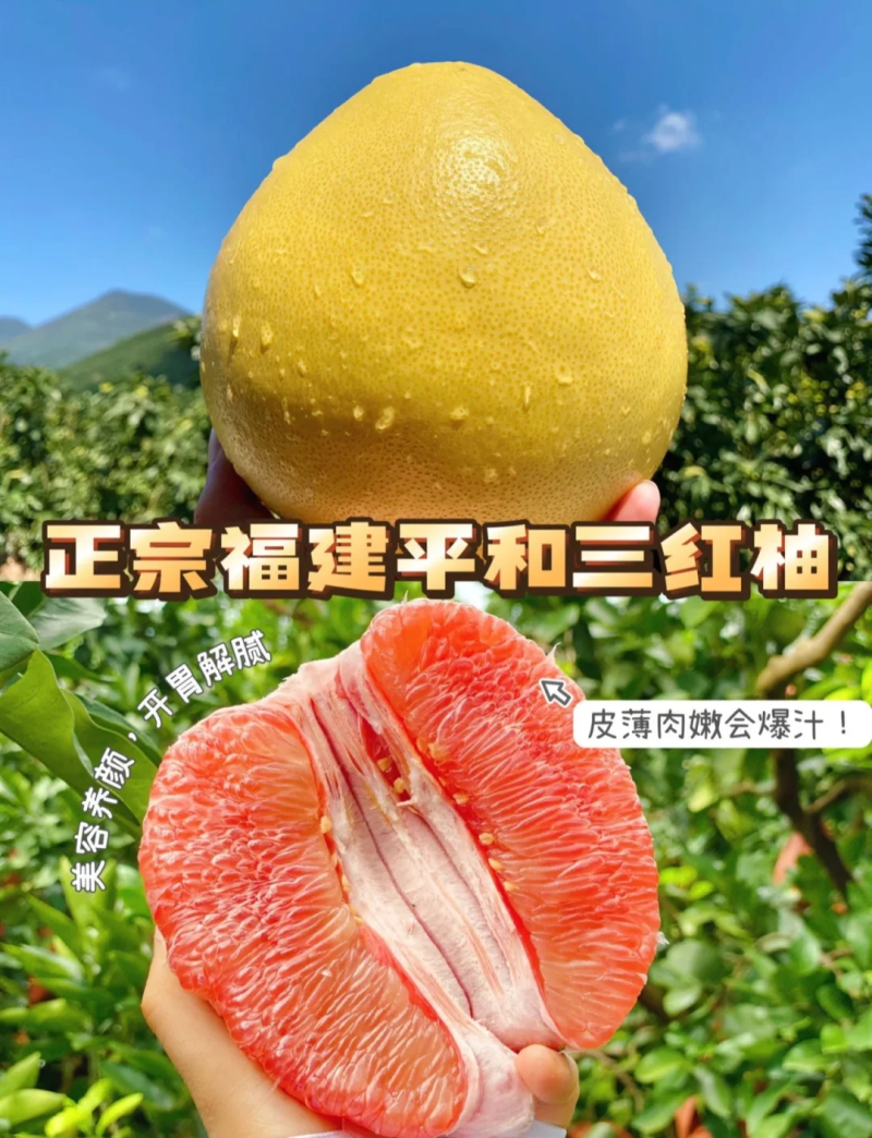 平和五寨乡三红柚，