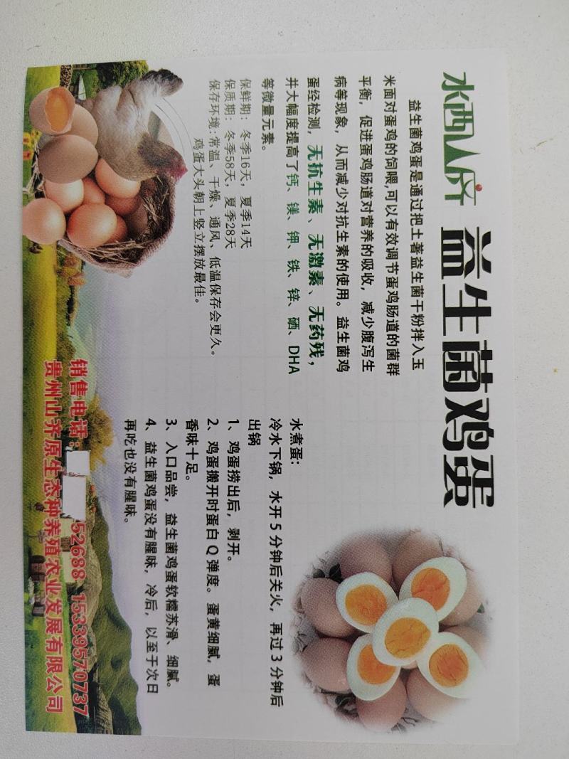 益生菌鸡蛋