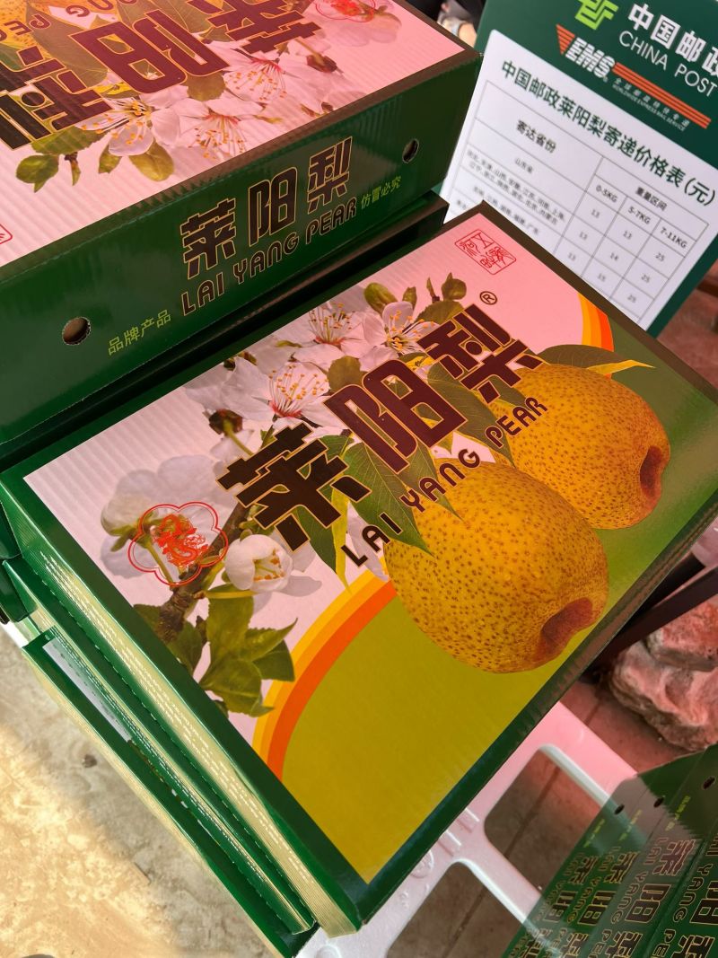 正宗莱阳梨