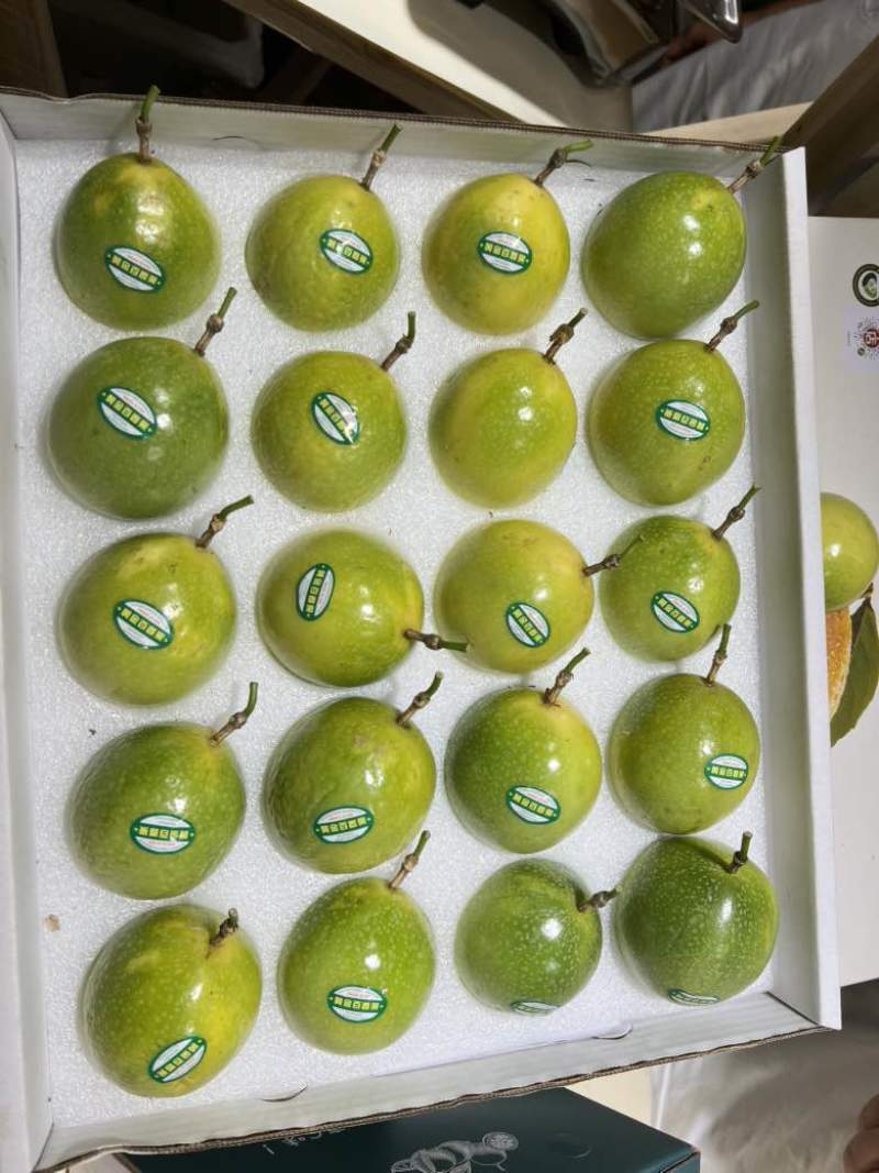 广西靖西百香果