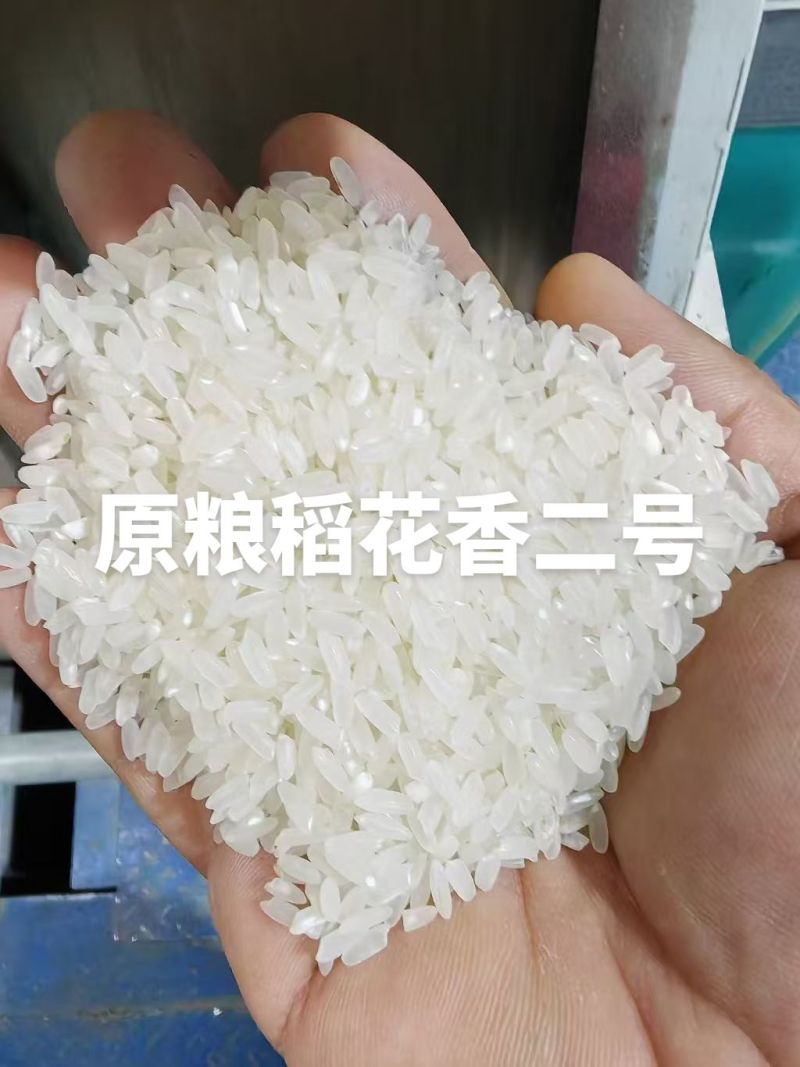 我是五常龙凤山的需要核心产区的原粮稻花香二号嘛
