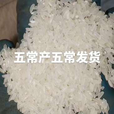 我是五常龙凤山的需要核心产区的原粮稻花香二号嘛