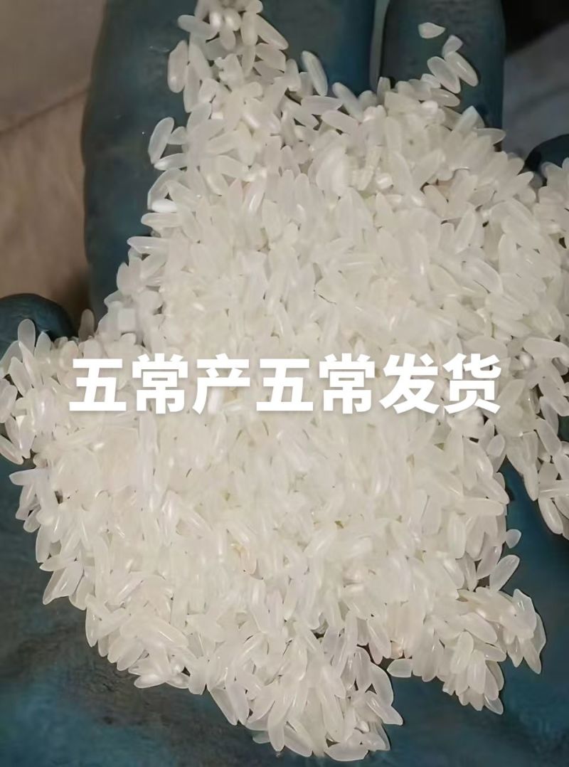 我是五常龙凤山的需要核心产区的原粮稻花香二号嘛