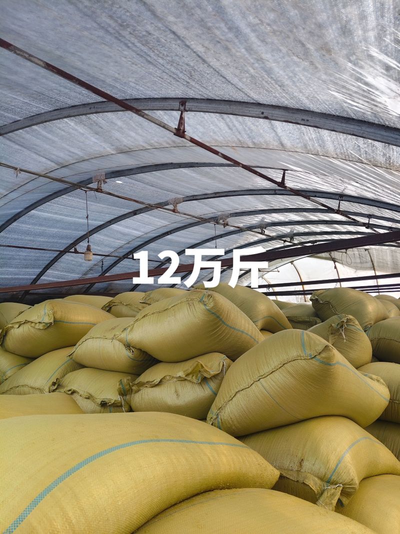 我是五常龙凤山的需要核心产区的原粮稻花香二号嘛