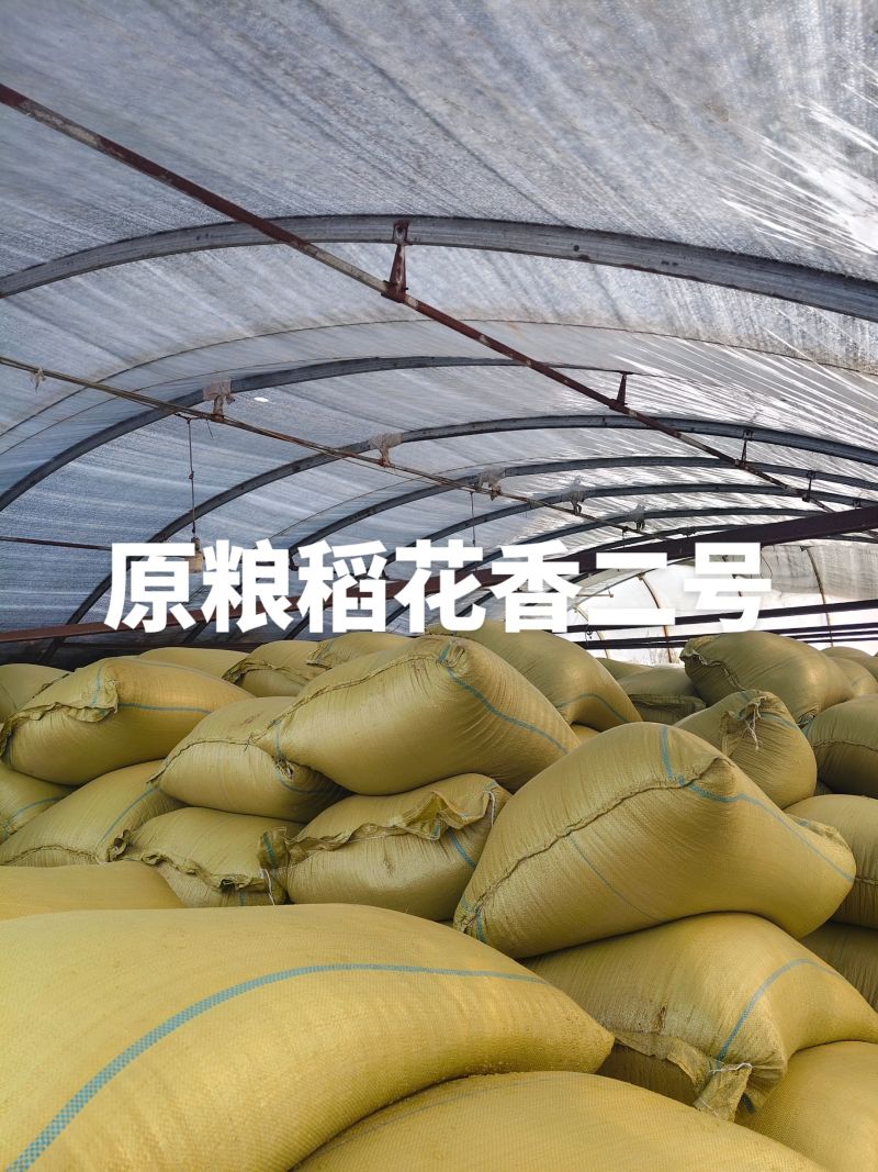 我是五常龙凤山的需要核心产区的原粮稻花香二号嘛