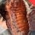 正宗川味腊肉，一手货源