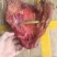 正宗川味腊肉，一手货源