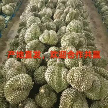柑橘味