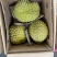 柑橘味