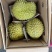 柑橘味