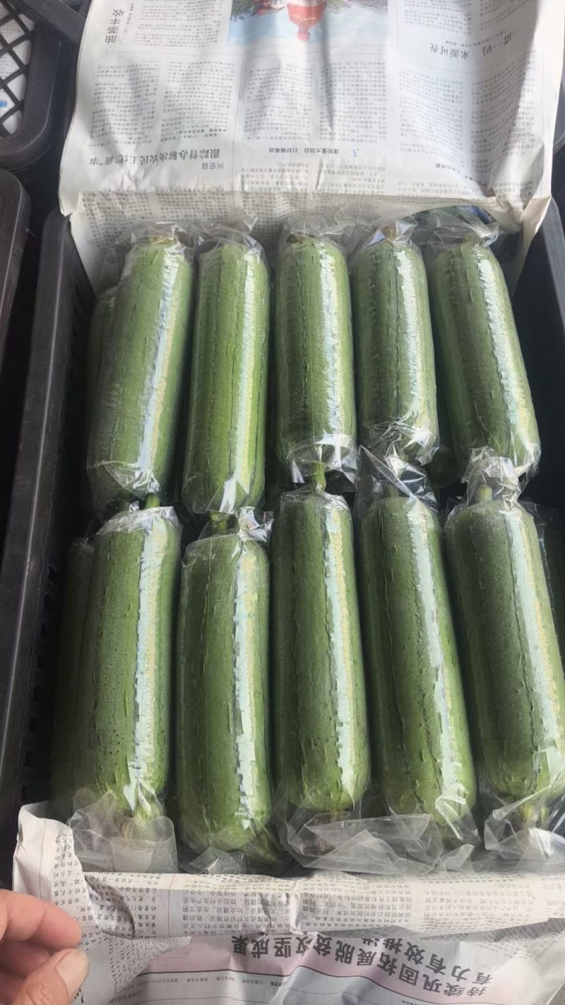 精品肉丝瓜