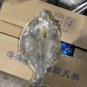 俄罗斯黄金蝶鱼单冻