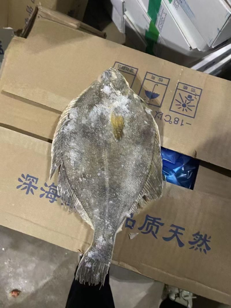 俄罗斯黄金蝶鱼单冻