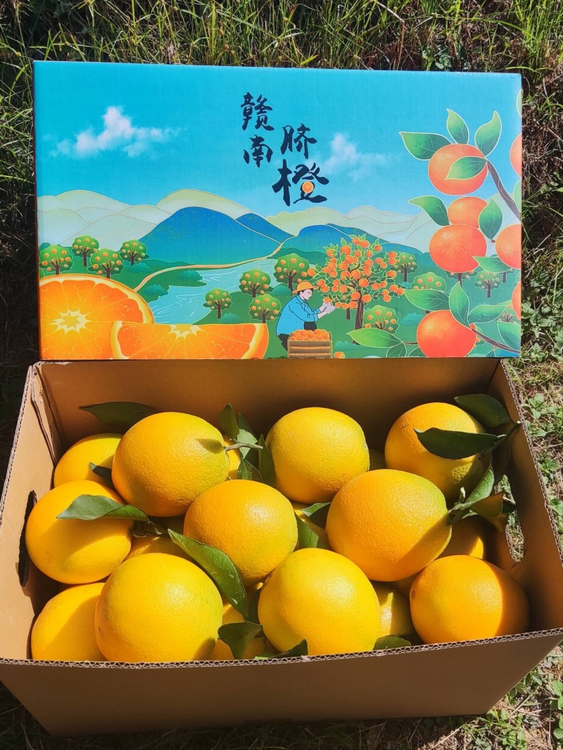 江西正宗赣南脐橙无渣产地直发货源稳定欢迎来电咨询