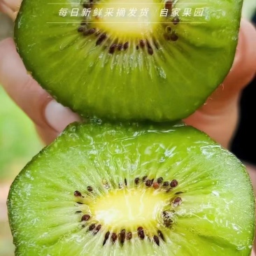 徐香猕猴桃