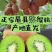 徐香猕猴桃