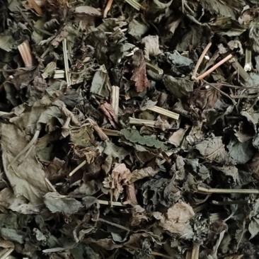 鬼针草，全草，干货