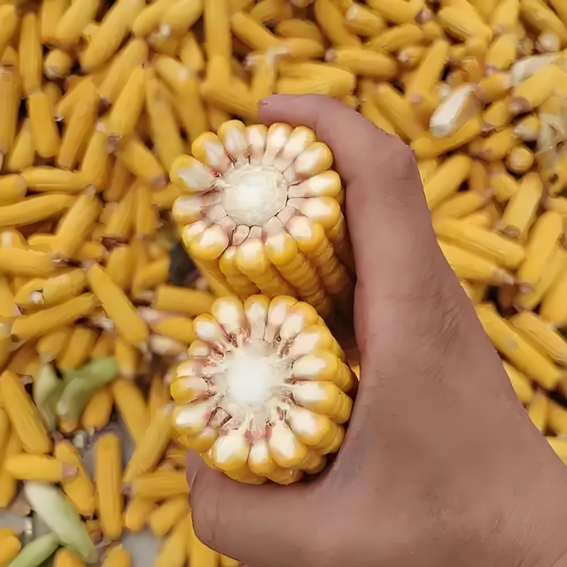 量大，质量保证
