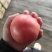 硬粉西红柿