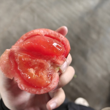 硬粉西红柿