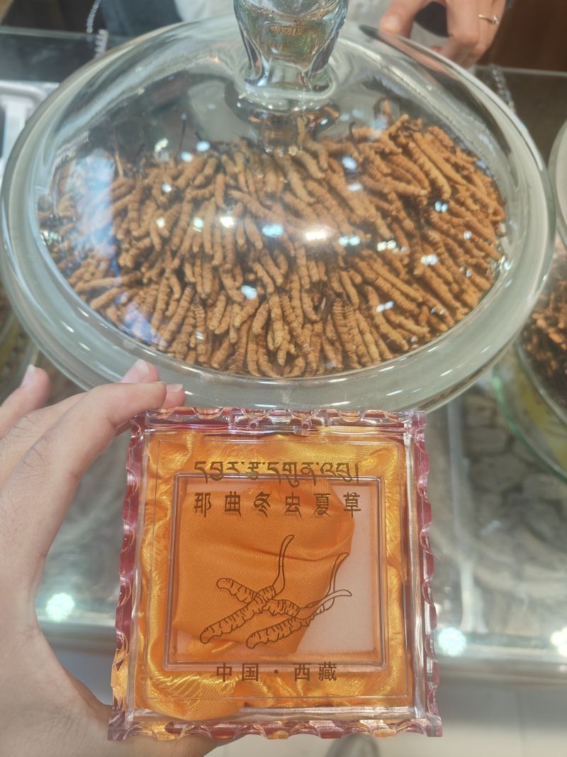 全国供应厂家直销长期供货虫草润燥甘甜久煮不糊