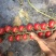 串串小番茄