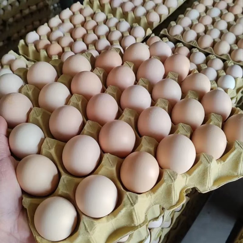 土鸡蛋，130一件，5件起发