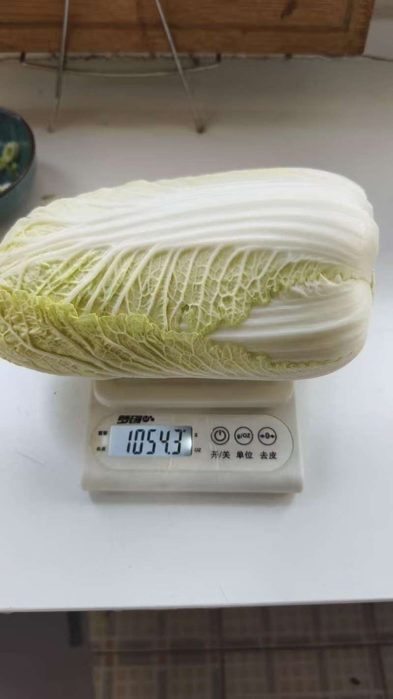 甘肃平凉200亩高原娃娃菜，大娃！