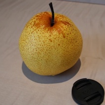 砀山酥梨