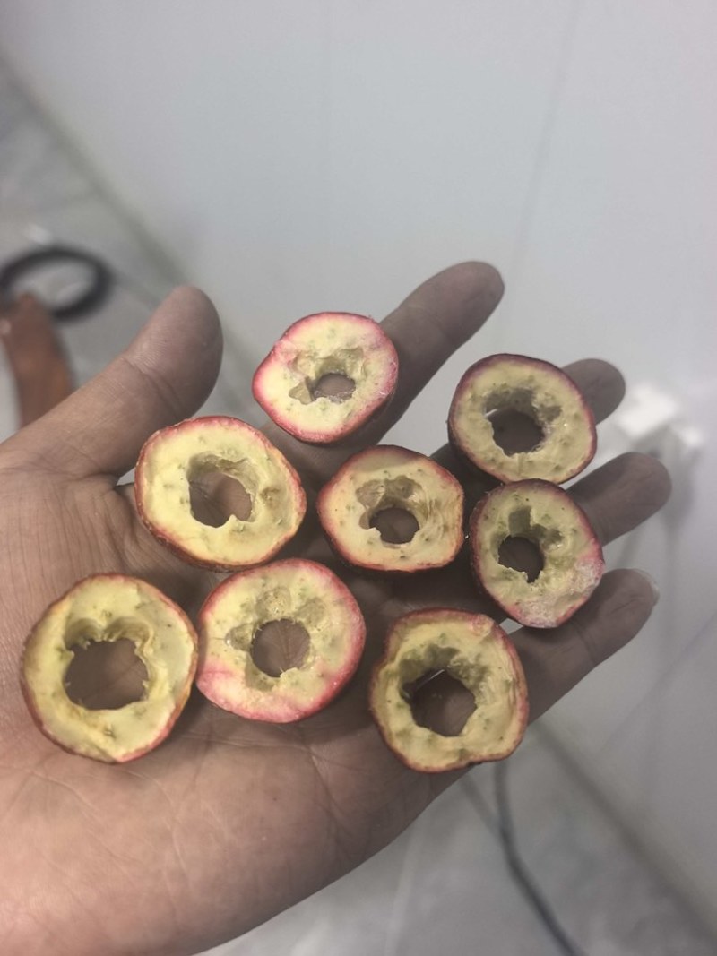 冻干山楂中心圈技术****诚邀合作