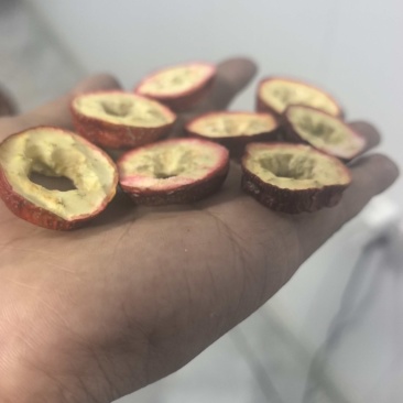冻干山楂中心圈技术****诚邀合作