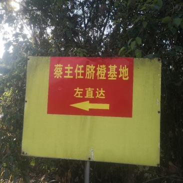 赣南脐橙