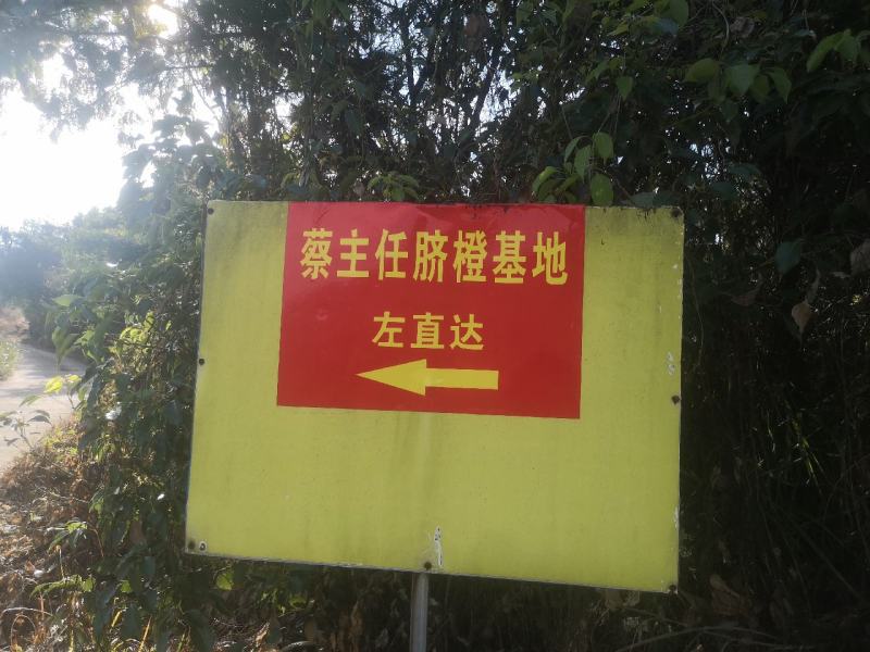 赣南脐橙
