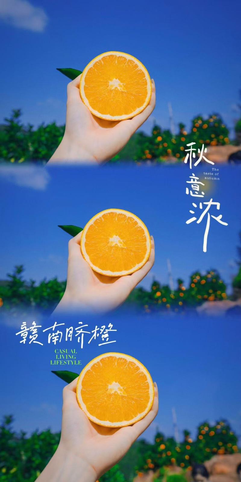 赣南脐橙