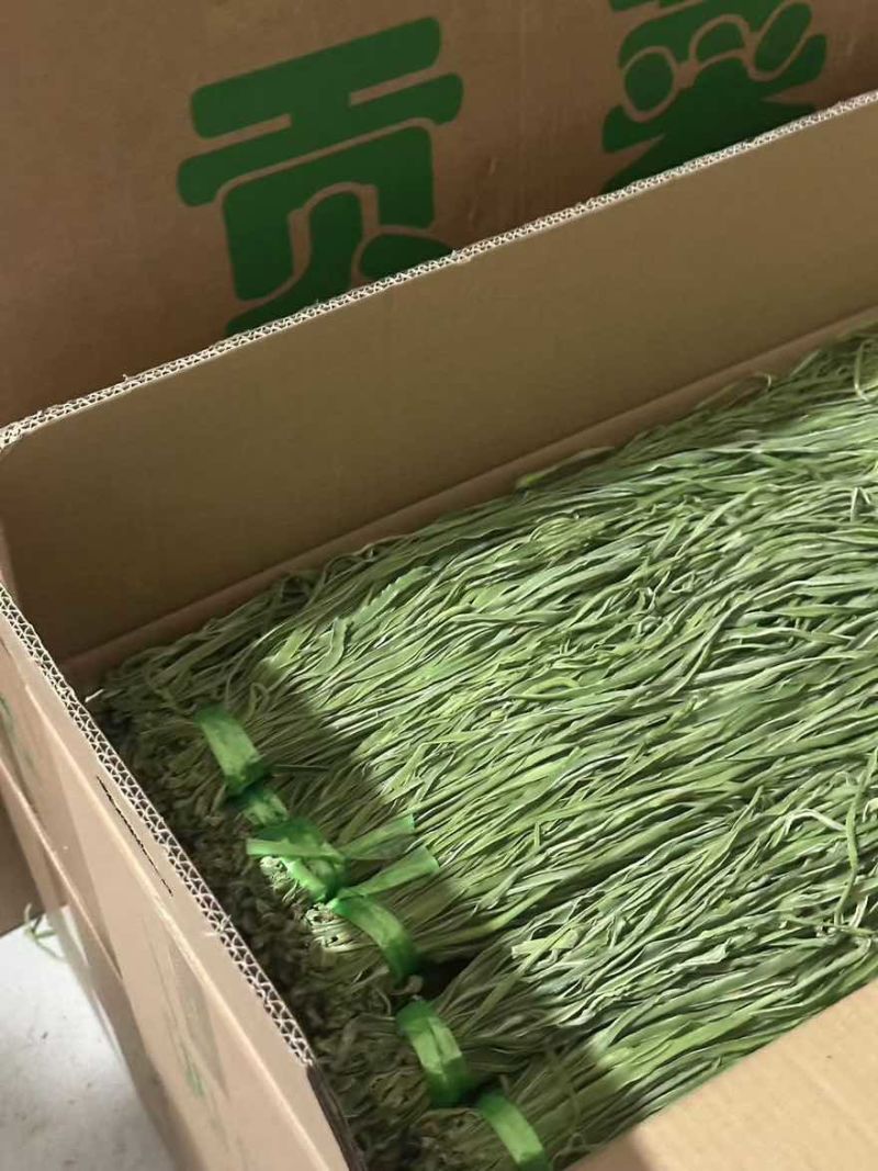 云南高原贡菜，产地直发，量大从优，欢迎咨询订购品尝