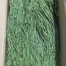 云南高原贡菜