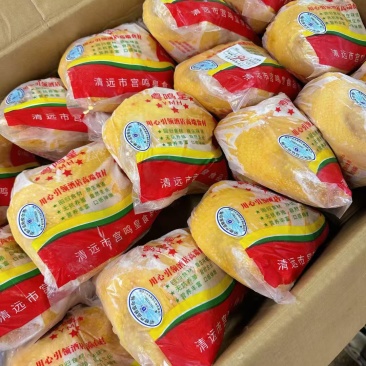 宫庭皇清远鸡