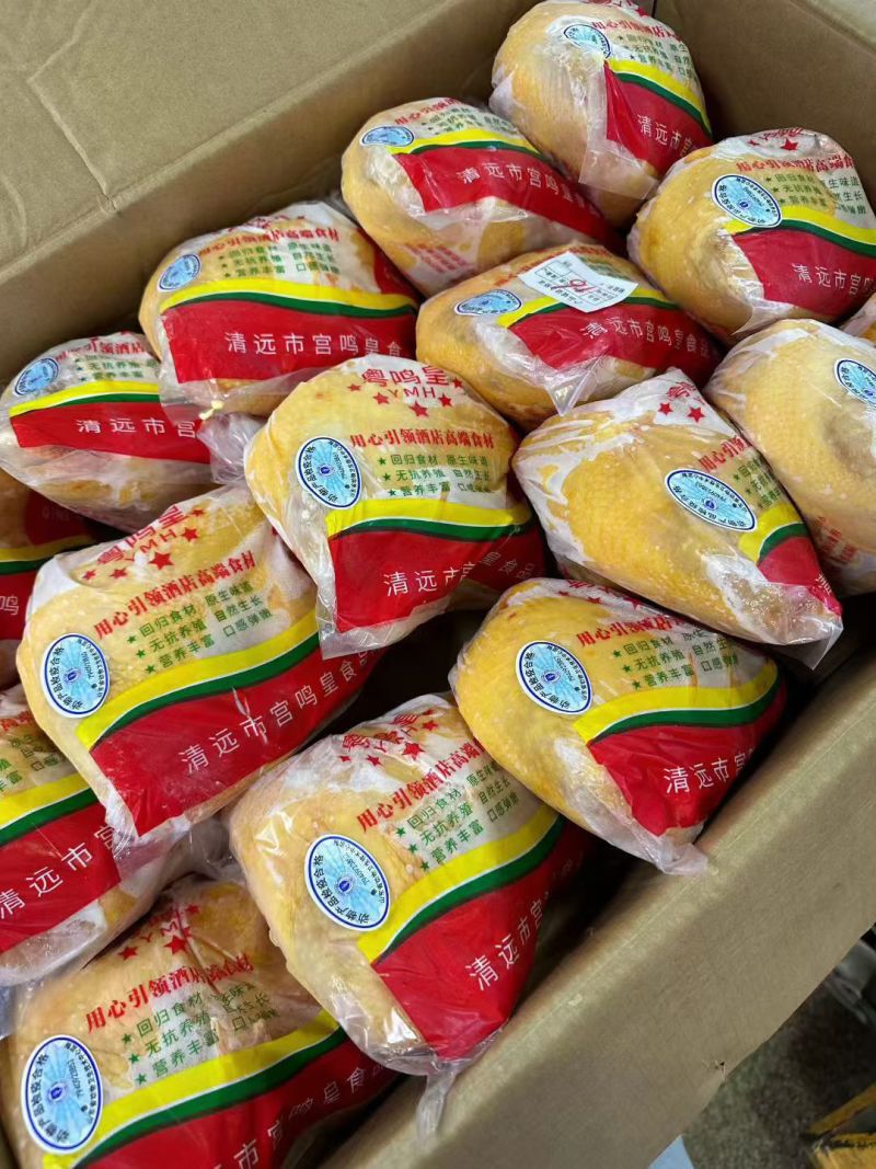宫庭皇清远鸡