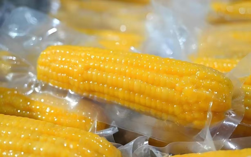 鲜食玉米