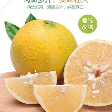 福建平和葡萄柚