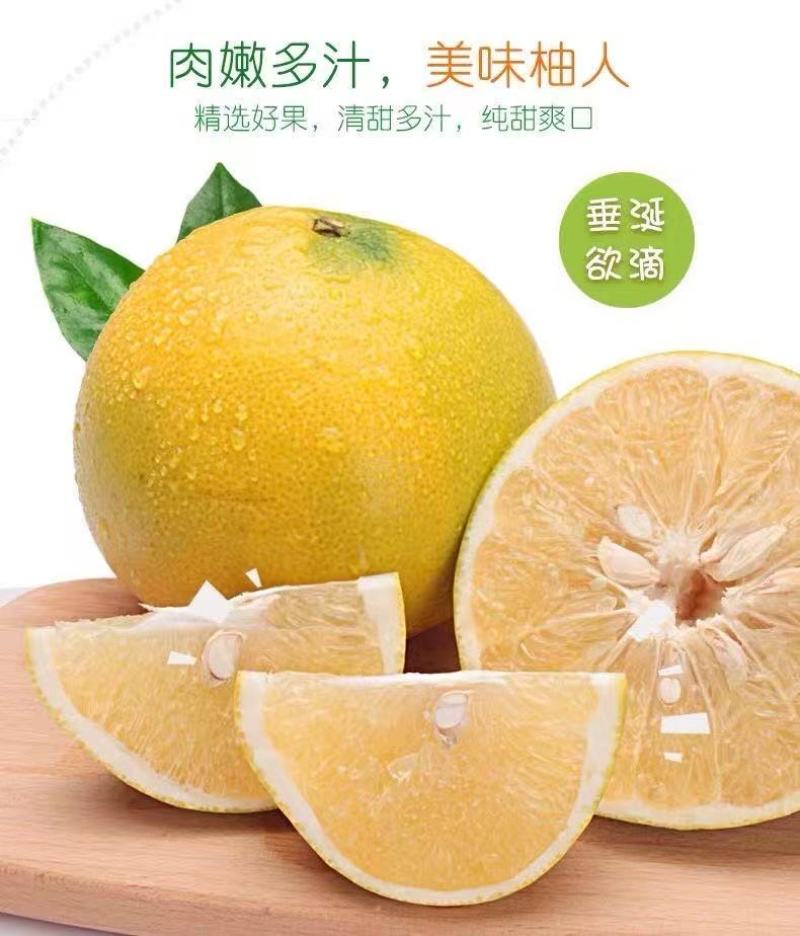 福建平和葡萄柚