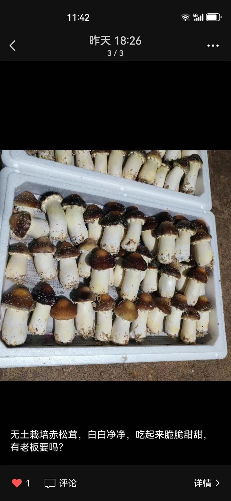 茶树菇，草菇，平菇等菌类