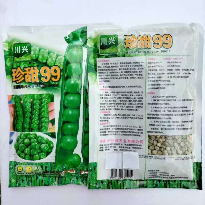 川兴珍甜99豌豆种子500克